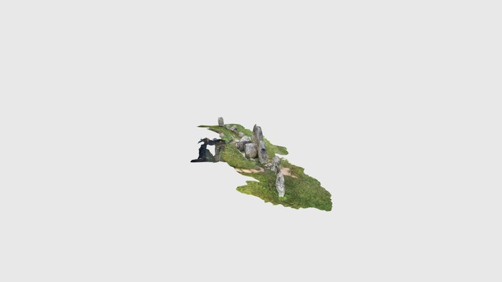 West Kennet blocking stones 3D Model