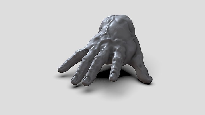 Hand Anatomy
