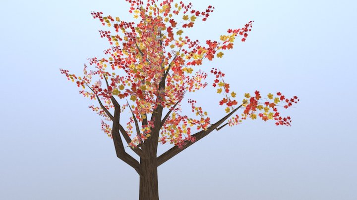 Tree 3D Model