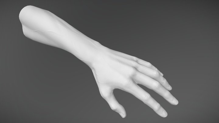 VR player hand model 3D Model