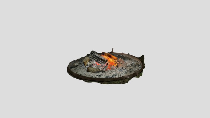 Fire 3D Model
