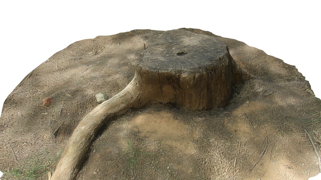 Dead Tree Stump - 3D model by Free 3D Models (@free3dmodels) [e3a8d4d ...