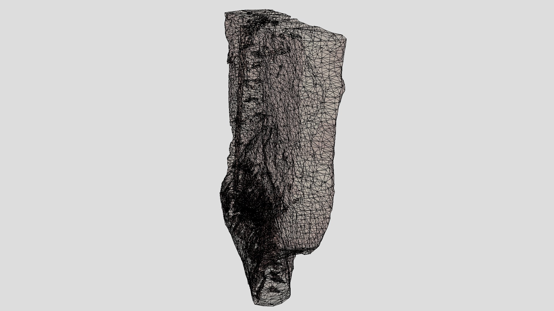 MicroCT image of crown root of Kava