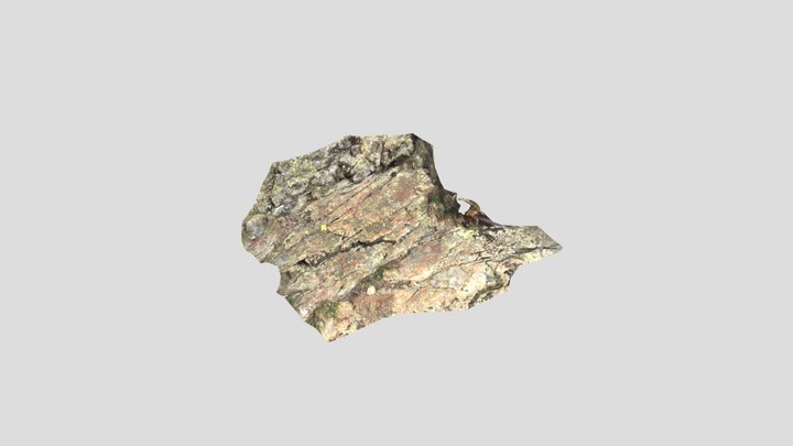 STOP 3.1 - Microgabbro and porphyrite 3D Model