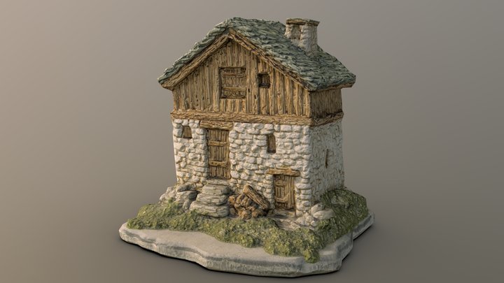 Scanned home model 3D Model