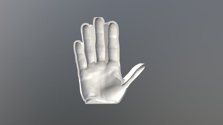 Bottom Mold for Prosthetic Hand Silicone Skin 3D Model