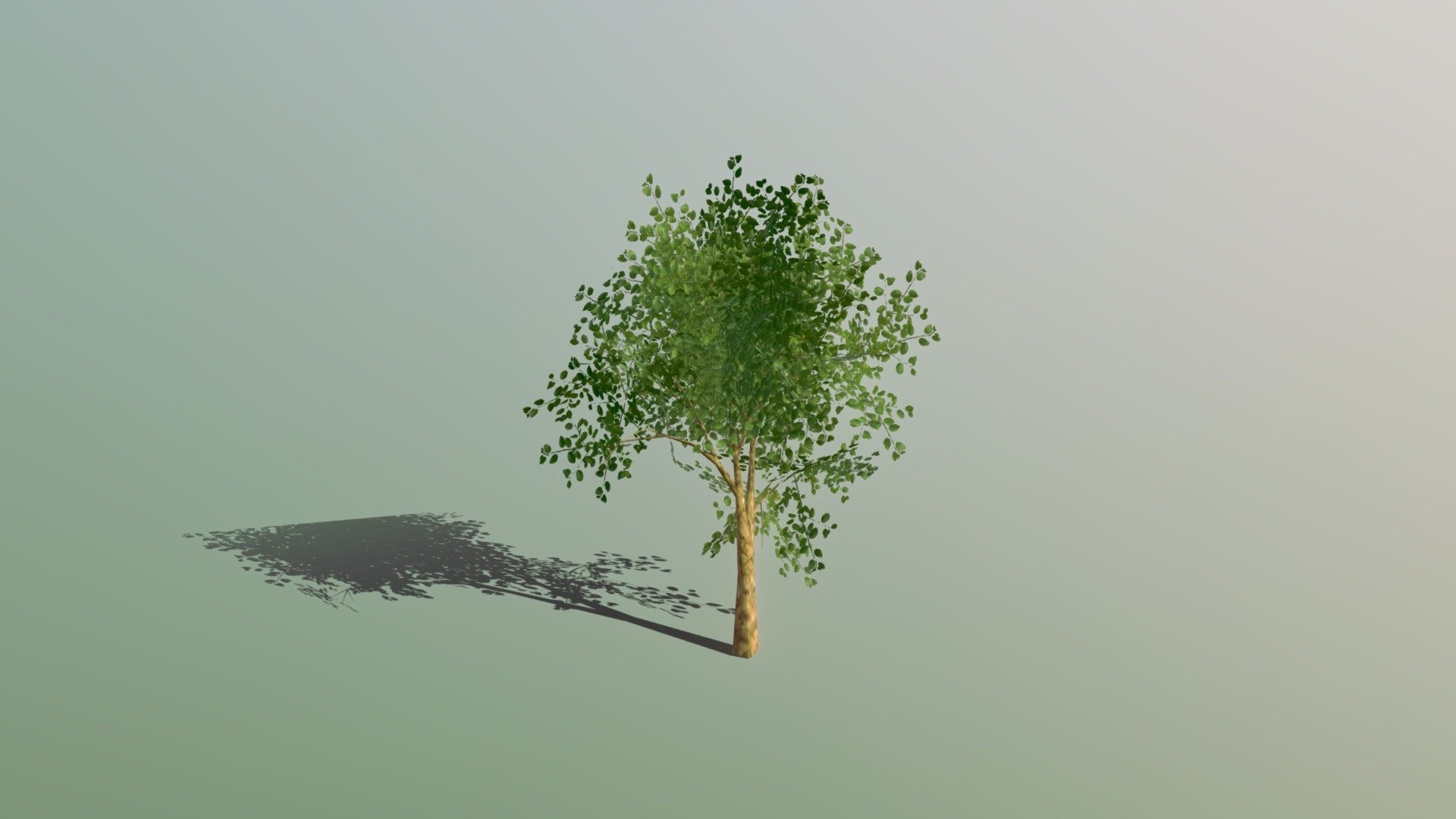 Realistictree #1 - 3D model by Developer Danish (@danishg0455) [e3bbeb7 ...