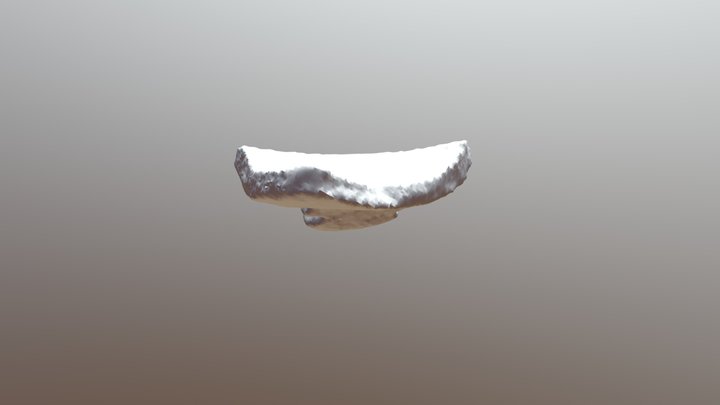 ceras 3D Model