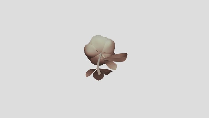 Peony_assem 3D Model