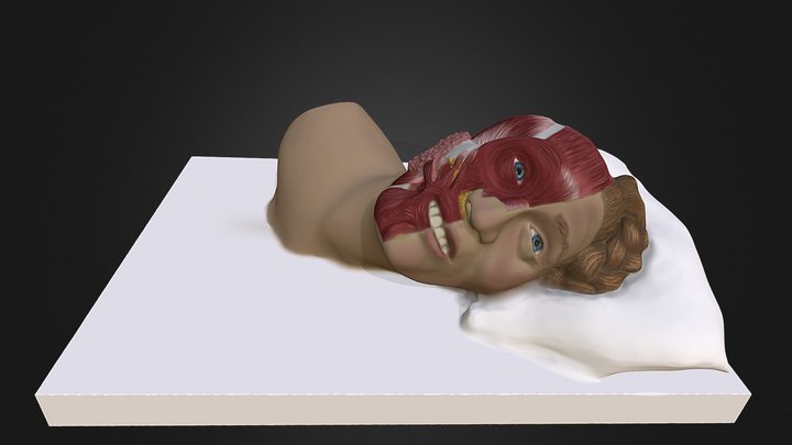Anatomical Venus 3D Model