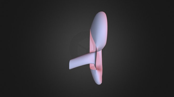 Modelado Oreja Humana 3D Model