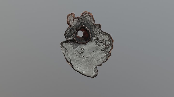 Canon- Shiny Wax- Macro 3D Model