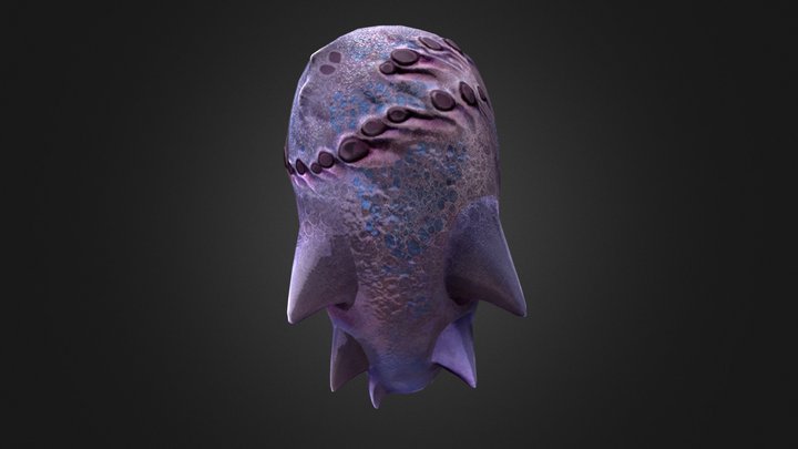 Sandshark Egg – Free 3D Model STL