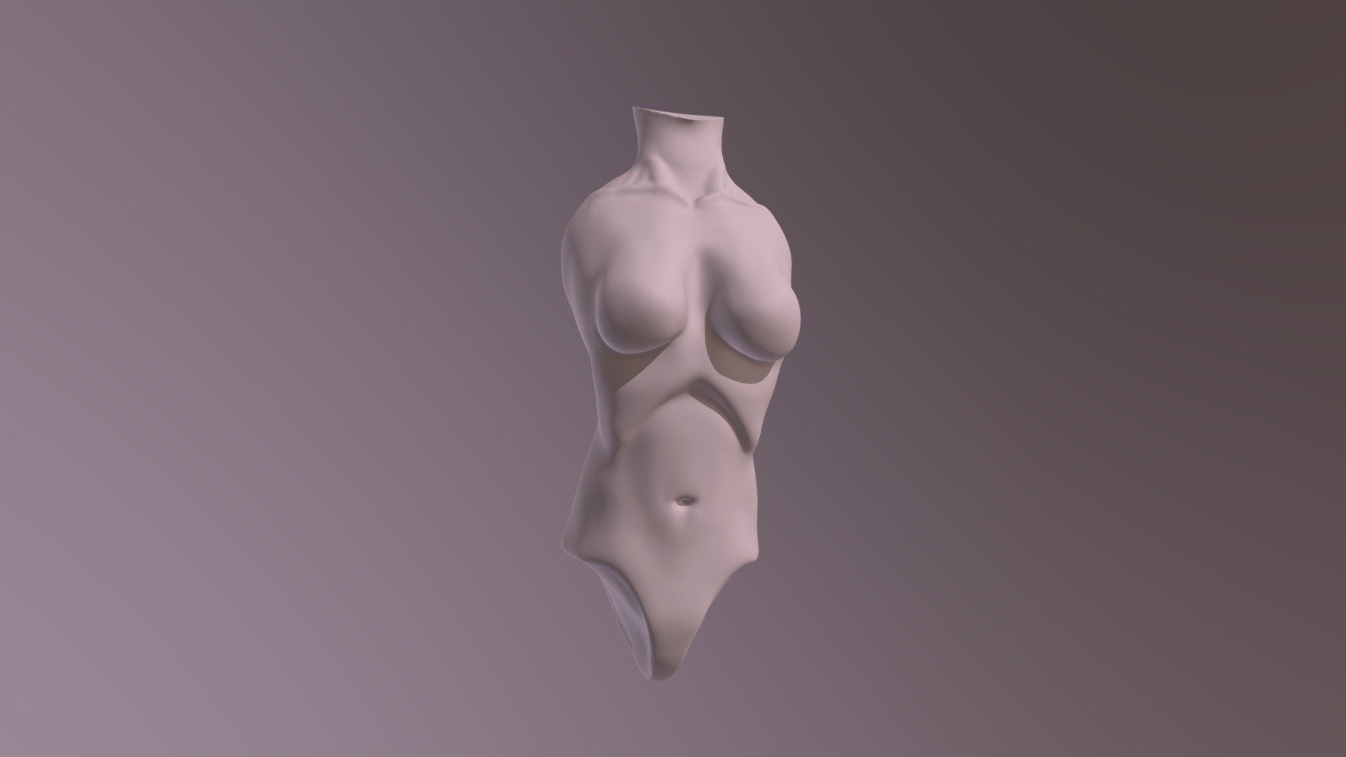 Torso - Wip