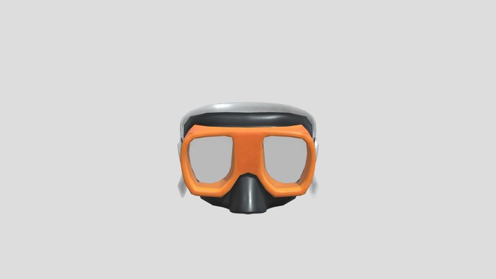 Snorkel Mask