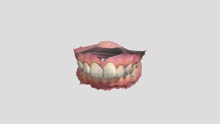 L. S. kezdeti 3D Model