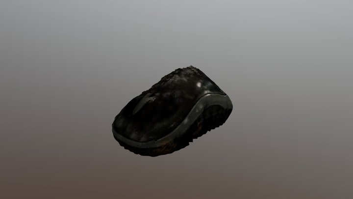 New Qlone 3D Model