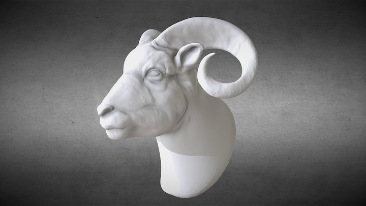 Goat 3D Model