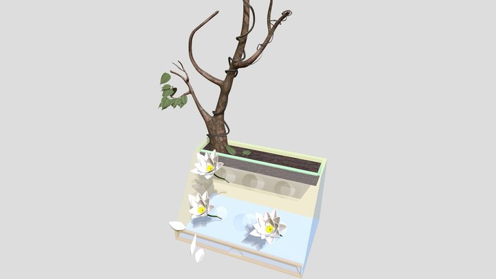Plant and Pot Modeling 3D Model