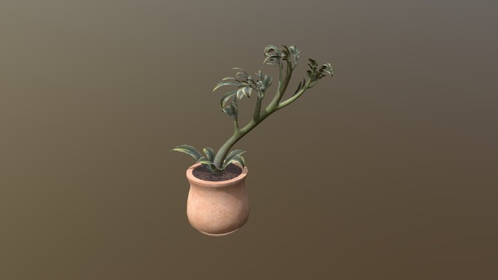 House Plant 3D Model