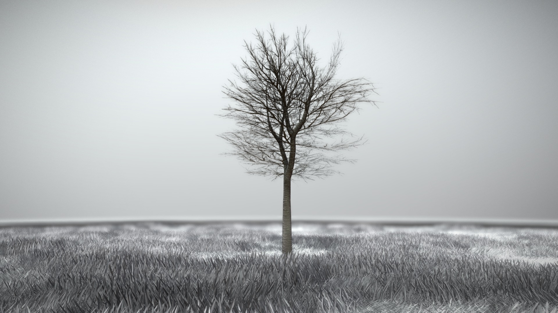 3D model Tilia Tree – 6 Meter –  Winter - This is a 3D model of the Tilia Tree - 6 Meter -  Winter. The 3D model is about a tree in a field.