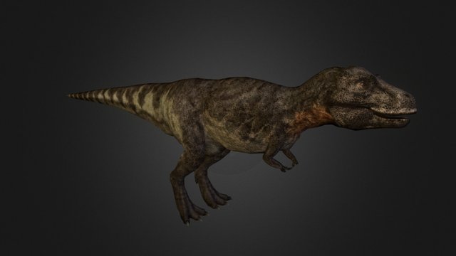 WWD Tyrannosaurus 3D Model