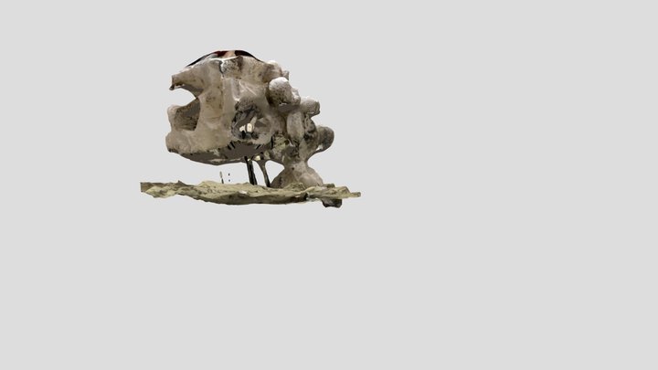 mdl2 3D Model