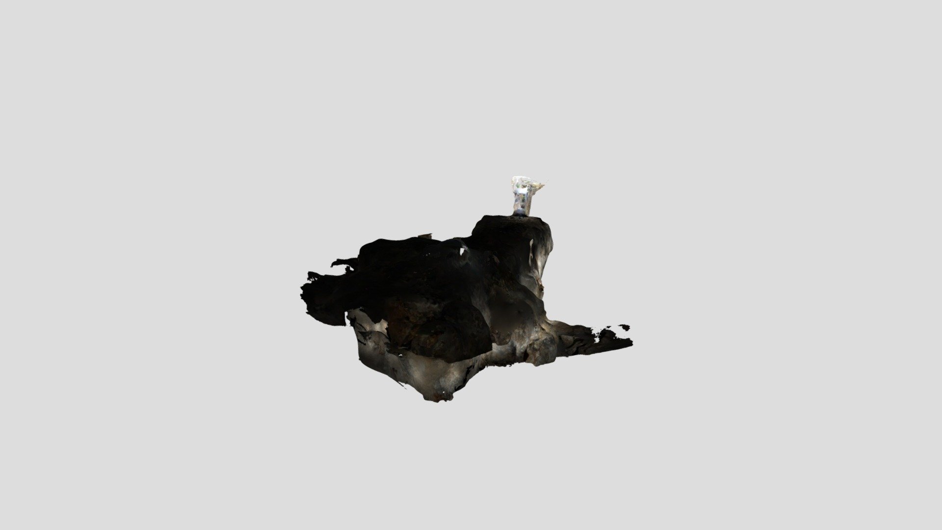 "Lion Cave"