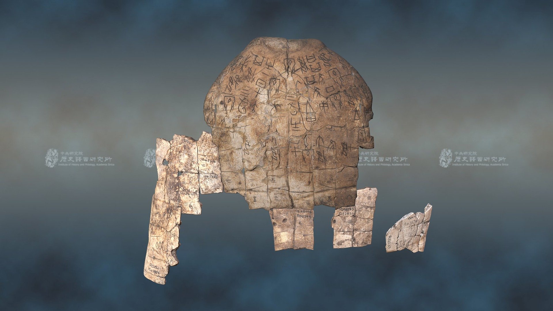 帶卜辭龜腹甲 Inscribed Tortoise Plastron — Sketchfab embed 3D viewer