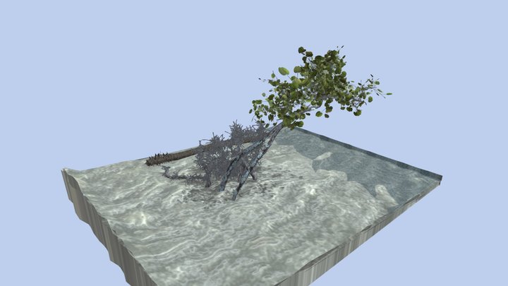Tree On Beach 3D Model