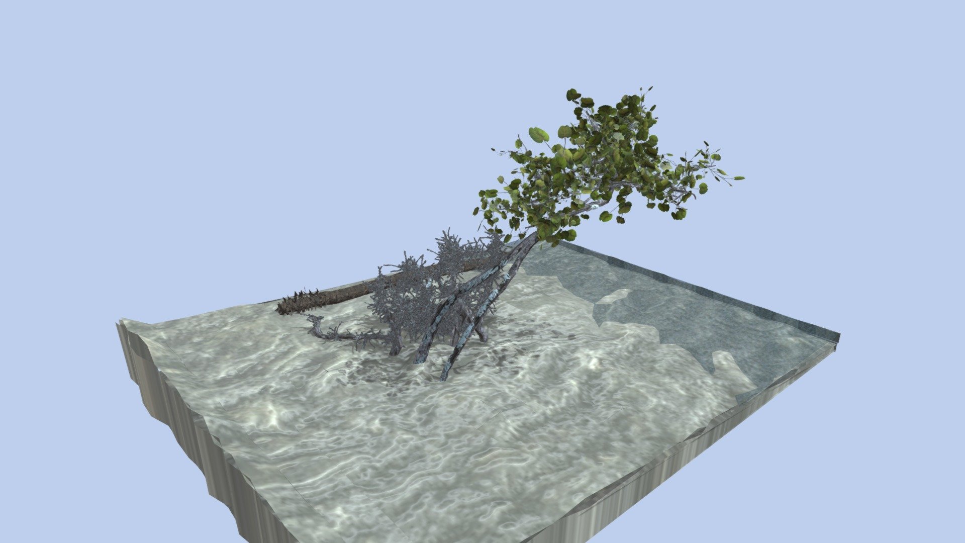 Tree On Beach