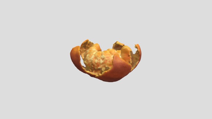 橘子 3D Model