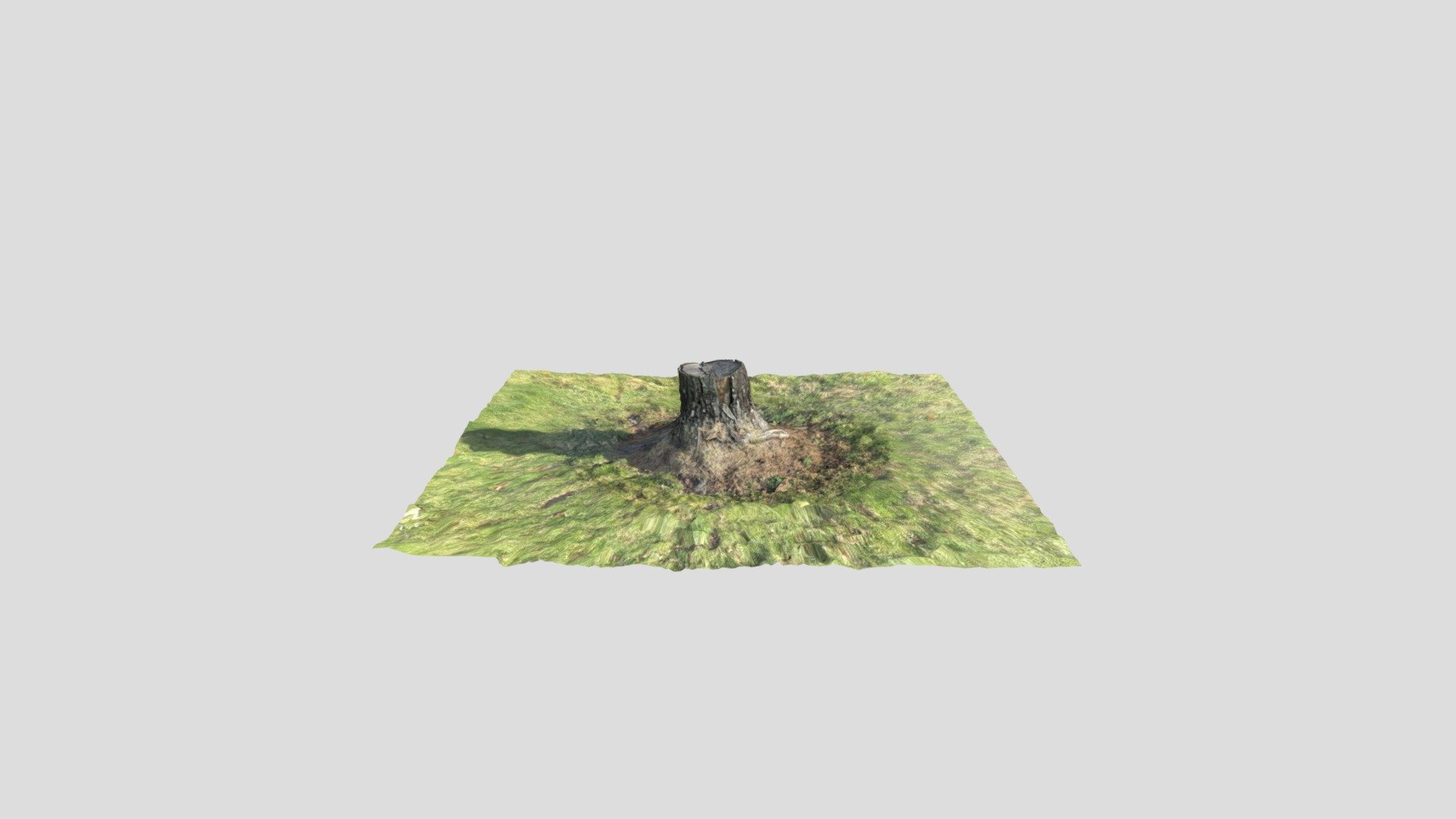 Stump - Download Free 3D model by John.Deckard [e3ec12f] - Sketchfab