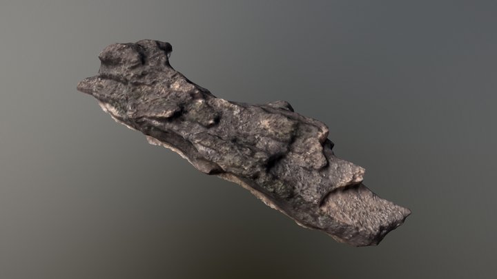 Tree bark scan 3D Model