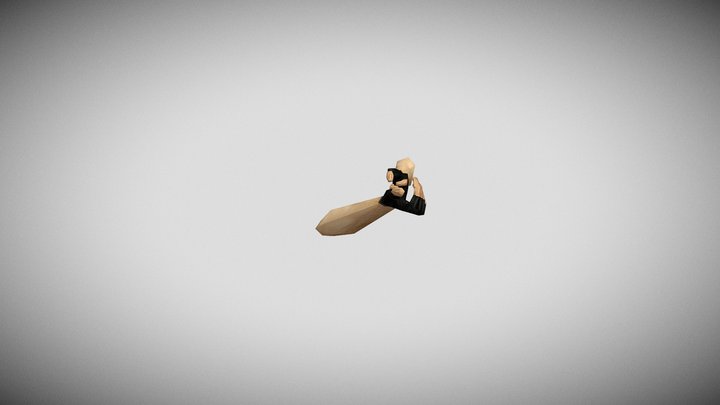 Default Counter-Strike Hands Rigged 3D Model