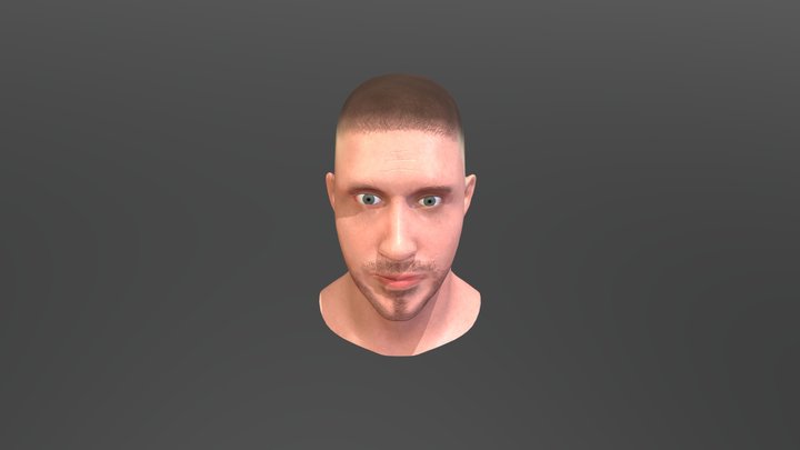 Ryan Gosling (kinda) 3D Model