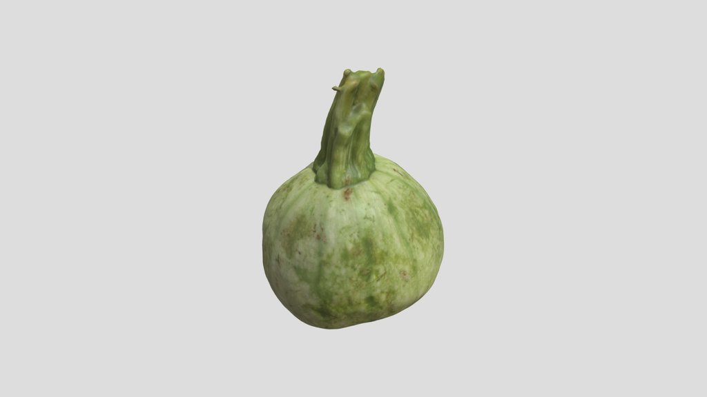 Scanned Kadu Vegetable