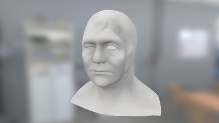 WIP Fight Punch's Kitano 3D Model