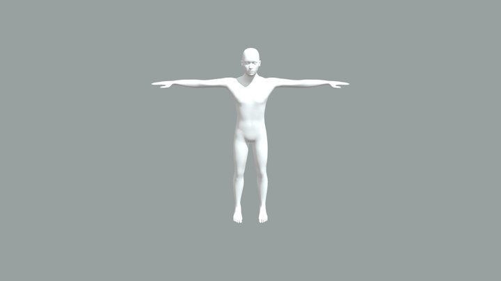Highpoly Base Meshes 3D Model