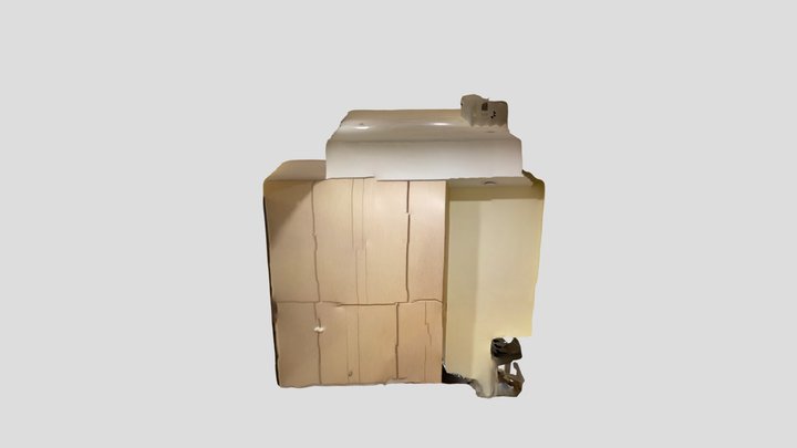 Untitled Scan 3D Model