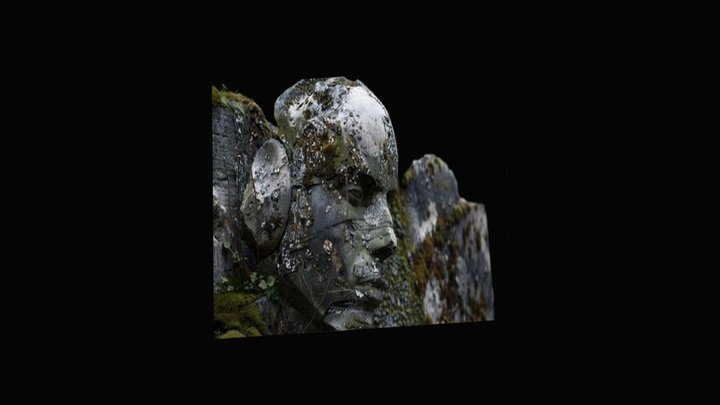 The Face of Nature 3D Model