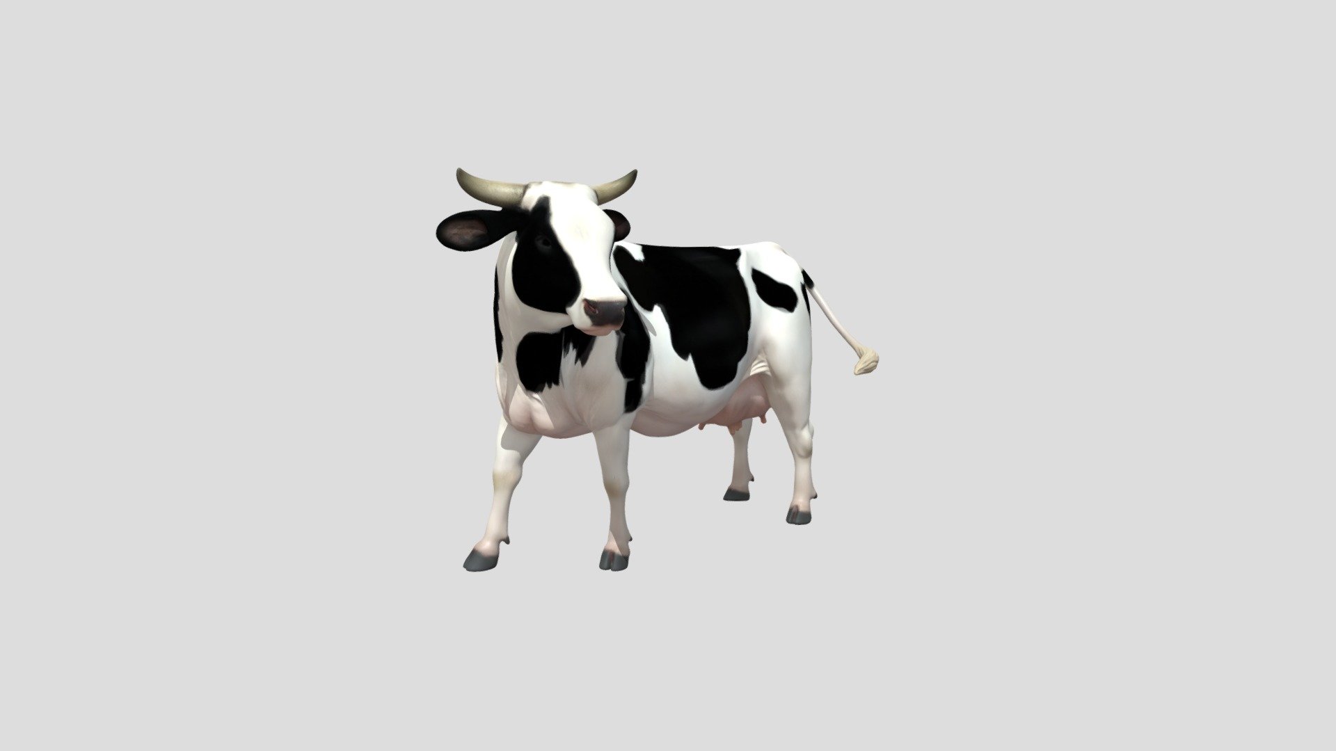 Holstein Dairy Cow - Download Free 3D model by leyraa [e40263d] - Sketchfab
