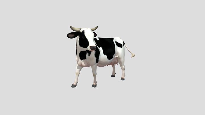 Holstein Dairy Cow 3D Model