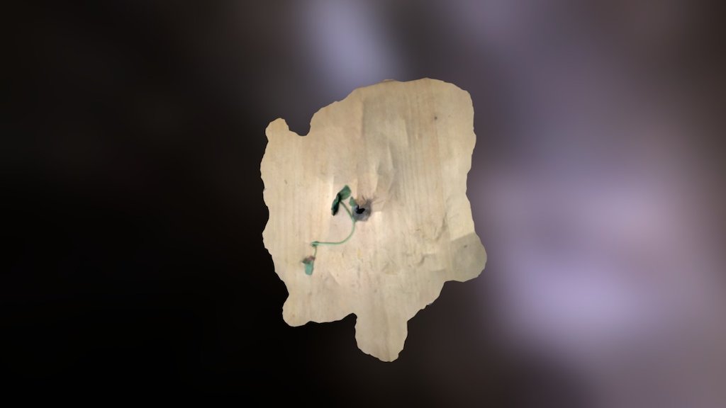A TRNIO Model