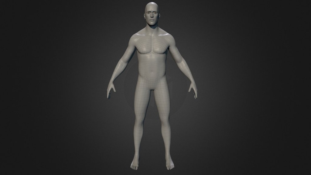 Free Human Base Meshes For Sculpting free 3D model