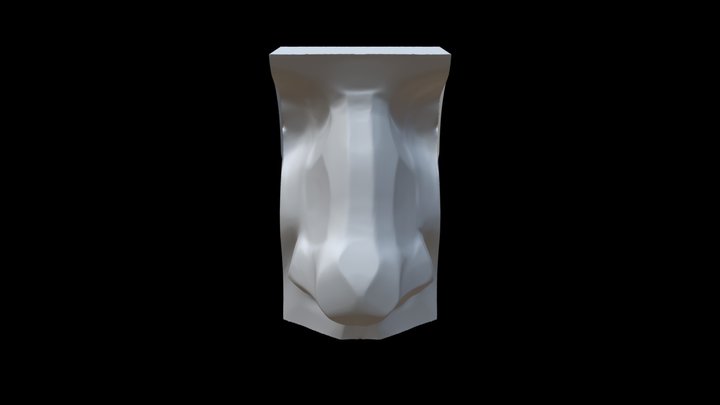 Nose Sculpt Planar 3D Model
