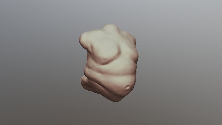 15 min study - Male Torso Overweight 3D Model