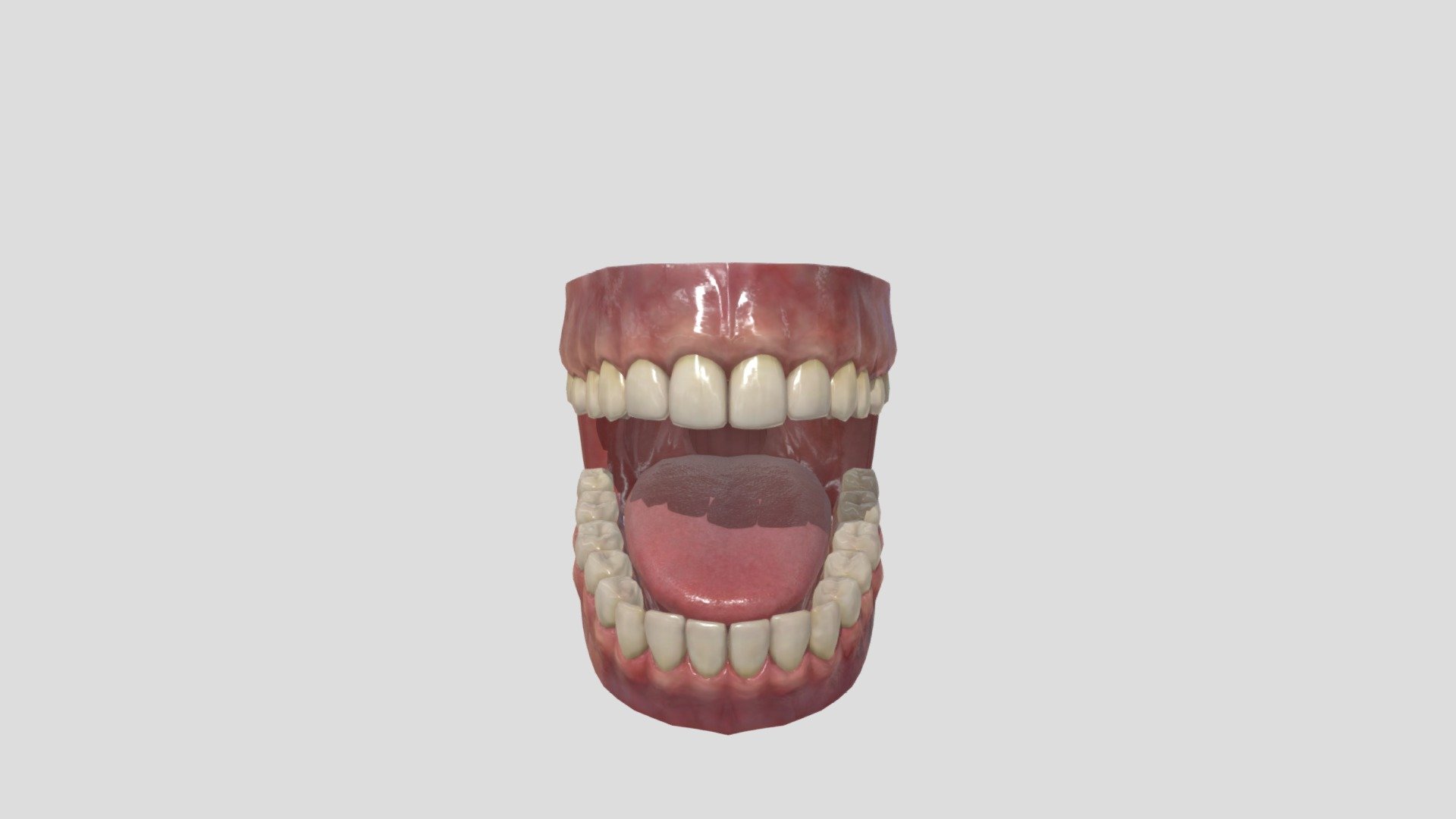 3d Realistic Jaw - 3d Model By Nabiljr [e408769] - Sketchfab