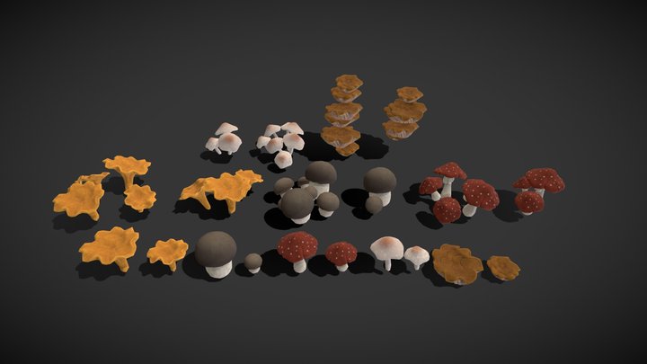 Stylized Mushrooms – Game Ready Pack 3D Model