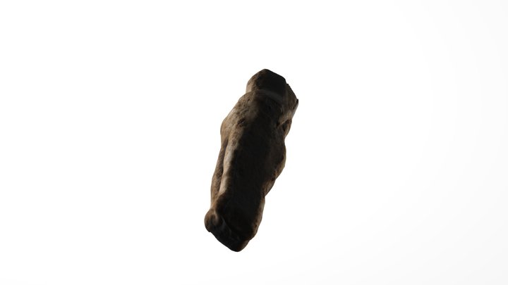JAM 25 0001 Frozen charlotte from Trench 1 3D Model